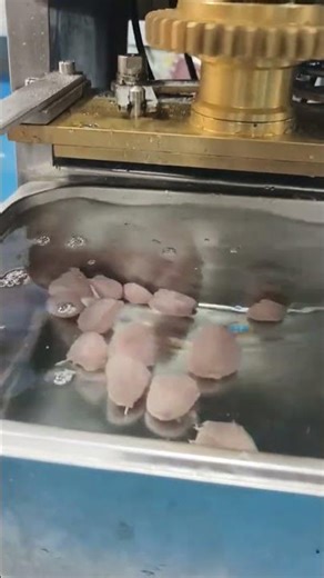 Revolutionary Fish Ball Maker: Transform Pork & Beef into Perfect Rounds