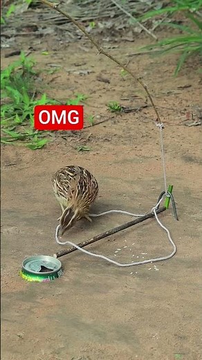 Technology #sbtech #viralvideo #shortvideo