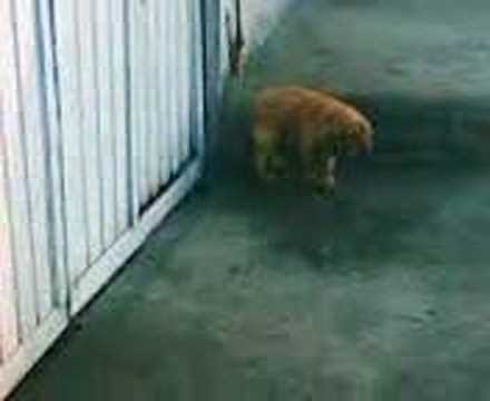 eeeeeeeeeeeeeeeeeeeeeeeeee