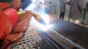 61K views · 745 reactions | ☎ 50100231 - 23900561 - 96801036 ☎ ...