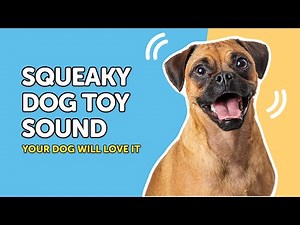 Your Dog Will Go CRAZY Over These Squeaky Sounds! 🤩