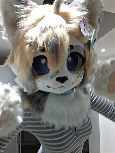 Exploring Furry Culture Through Dance and Fursuits