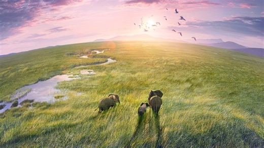 Planet Earth III (2023) — Фильм.ру