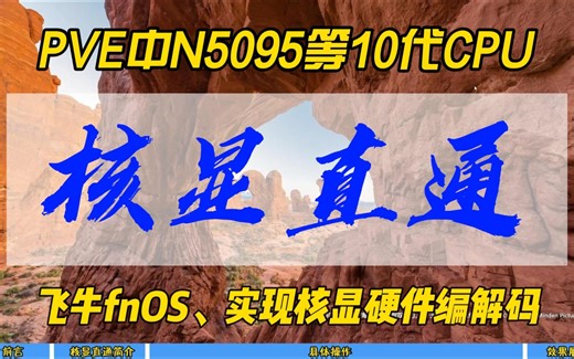 PVE中N5095等10代CPU核显直通飞牛fnOS~实现核显硬件编解码