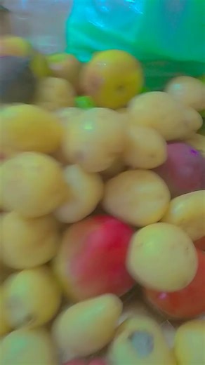 Os vídeos de gachasilva (@gachasilva4) com som original - gachasilva