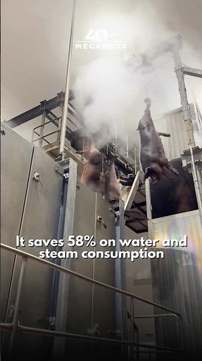 VERTICAL SCALDING - Exploring the World of PIG Processing Equipment (Part 4)