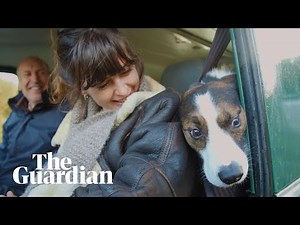 Border line: a journey through the Irish heart of the Brexit crisis