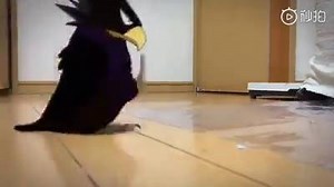 🤗🤗🤗So cute~ | EZCosplay Costumes