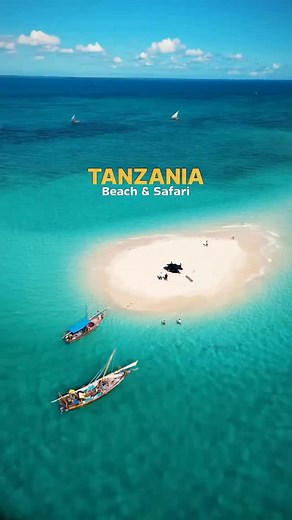 ZANZIBAR ISLAND 🇹🇿 on Instagram: "Tanzania is hands down one of my favourite countries on the planet 🏝️🍃 〽️ Why Go on Safari in Tanzania? If you’re looking for the ultimate safari experience, look no further than Tanzania. Home to the sprawling Serengeti National Park and the awe-inspiring Ngorongoro Crater, these unique landscapes are home to some of the highest concentrations of animals in Africa who are just waiting to wow you with some incredible sightings. Beyond the Serengeti, The Ngor