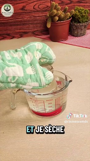 Miel et Ail : Renforcez Votre Immunité Naturellement