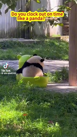 SIS SIONG (@sis.siong)’s videos with 原声 - SIS SIONG