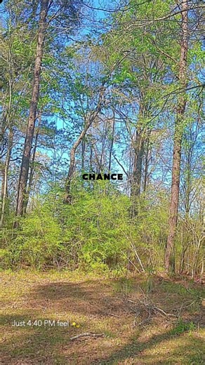 Take a chance #millionairevibes #quotes #futuremillionaires #takeachance