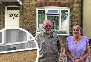 Cat refuses to leave abandoned house
