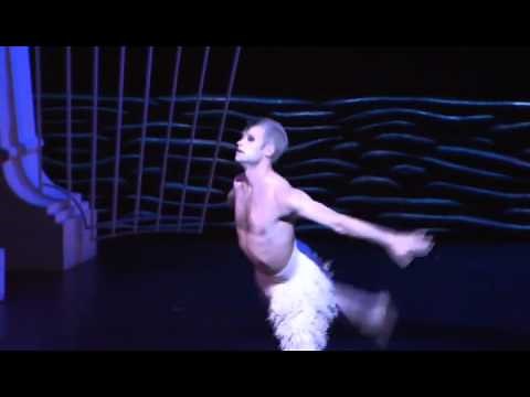Matthew Bourne's Swan Lake - Interview