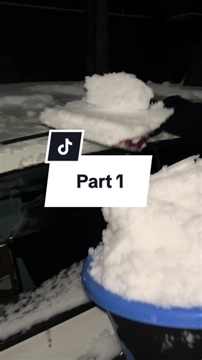 Creating the Best Snowman: A Fun Vlog Experience