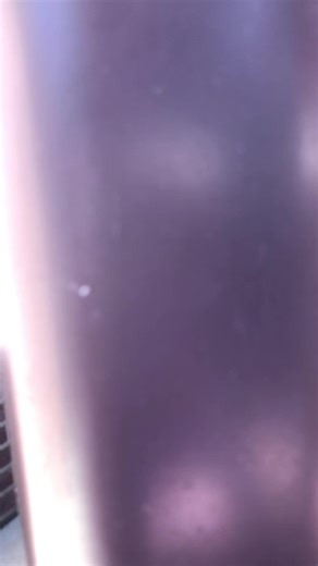 workhorse_nino (@workhorse_nino)’s videos with original sound - delaudios