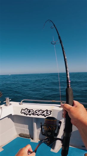 One of our favourite moments of 2025, what’s been yours? Check out the full video over on the YT channel - Wild Seas Fishing 🔥 #tuna #tunafishing #seafishing #fishing #offshore #biggamefishing #bluefintuna | Wild Seas