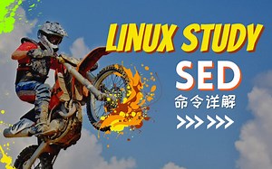 【伯乐大典】Linux入门｜Sed命令详解（三）