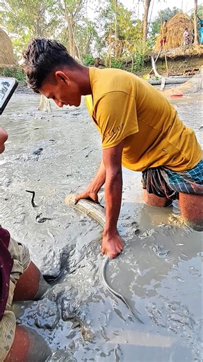 Incredible! After 20 years, such a big boal fish caught with irrigation 😱 #shorts #fishing #viral...