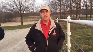 9.9K views · 215 reactions | BABY CLYDESDALE Q&A: Our colleagues at...