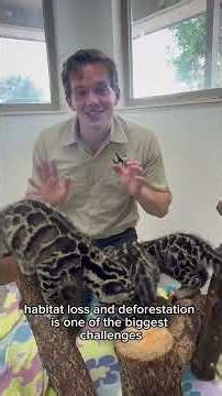 How can YOU help Clouded Leopards thrive in their natural hanitat?