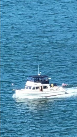 pleasure craft 10/10/25