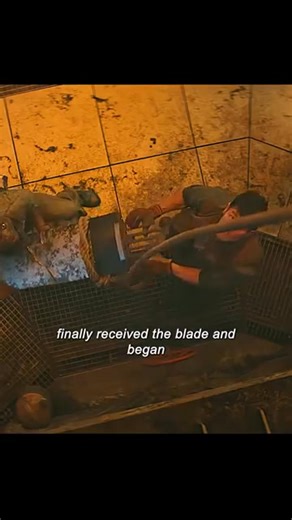 🎬 Netflix Movie #reelsfbシ #reelsfypシ #movies #instagramreels #Technology #success | yogiboo TV