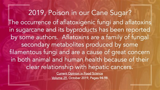 Doug Talks About: ARE YOU STILL ON A HOLIDAY SUGAR HIGH? https://knowthecause.com/ | Know the Cause hosted by Doug Kaufmann