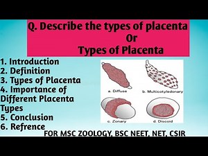 Types of Placenta | Importance of different types of Placenta | Diffuse placenta | Cotyledonary