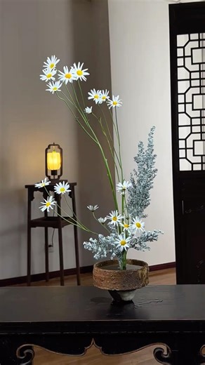 Beautiful wild chrysanthemums