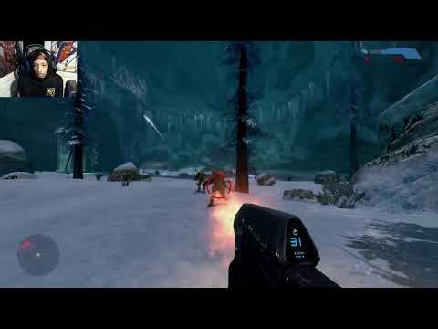 WHATS THE MOVE In The Life Of Breed