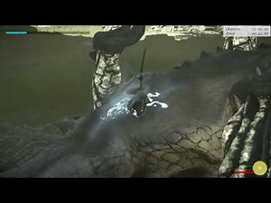 SHADOW OF THE COLOSSUS - KUROMORI TIME ATTACK HARD 0:55:59