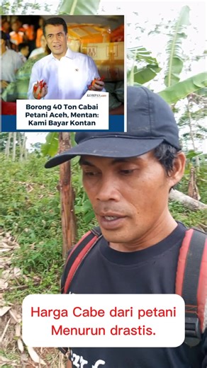 Harus kena bencana dulu baru dibantu? duh ampun pupuk dan obat obatan mahal juga itu merupakan sebuah bencana pak ! #gardening #petanitimun🥒 #petanicabe