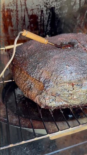 My Pork Butt Just Hit 201 Degrees - Chef IrixGuy
