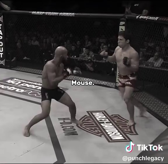Demetrious Johnson Highlights 😱🔥 #mma #fighter #knockout #demetriousjohnson #ufc