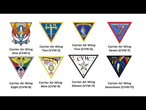 Every US Navy Carrier Air Wing Explained