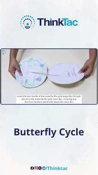 Butterfly Cycle | DIY Science | ThinkTac #shorts #shortsfeed #butterflycycle #diybutterfly
