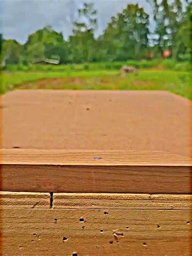 How to Find the Center of a Round Log