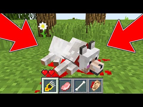 HOW TO SAVE THE LITTLE WOLF IN MINECRAFT VS 10000 ZOMBIE! WOLF