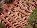 Aerial footage shows mass graves in Brazil's Sao Paulo