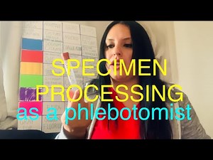 Specimen Processing as a Phlebotomist