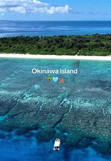 沖縄旅行の思い出作り｜ダイビングで海の魅力を体験