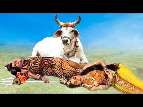 क्यों बैठे हैं नंदी सोये हुए शिव पार्वती के सामने | Jai Bhaolenath #shivkatha