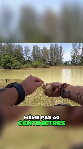 Pêche au gros: La technique ultime pour attraper un monstre