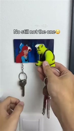 🔑 Wall holder + fridge sticker = no more lost keys! ✨