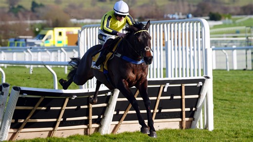 Cheltenham Festival 2025 jury following the six-day entries for day four