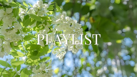 【Playlist】纯音乐｜“观我旧往，同我仰春”｜舒缓钢琴曲｜宝藏学习歌单｜适合宅家 放松 学习 工作 通勤 背景音乐歌单