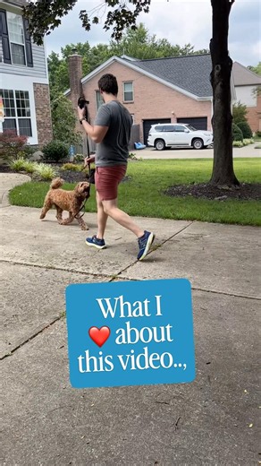 Our First Dog Training Lesson on Loose Lease Walking #dogtraining