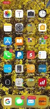 Class Dojo Notifications