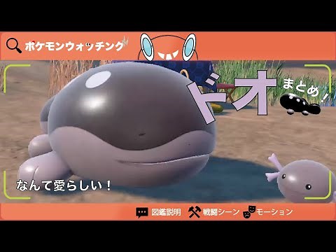 【Clodsire】Pokedex,abilities,skills,animations【No.980】